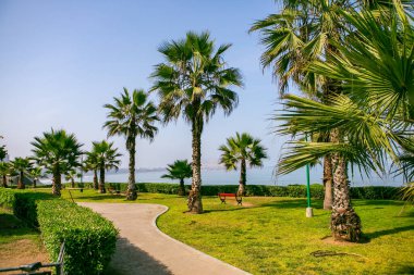 Pasifik Okyanusu, Peru 'nun başkenti Lima kıyılarını ısıtır. Latin Amerika 'nın güzel şehir doğası.