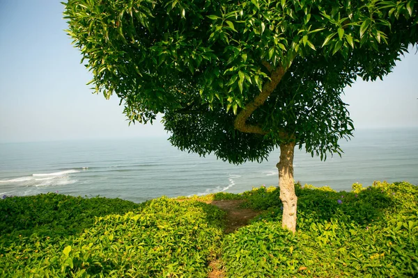 Pasifik Okyanusu, Peru 'nun başkenti Lima kıyılarını ısıtır. Latin Amerika 'nın güzel şehir doğası.