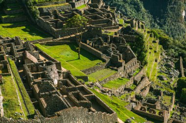 Peru 'daki World Machu Picchu mucizesi. İnka kutsal şehir kalıntılarıyla And Dağları 'nın güzel manzarası. 