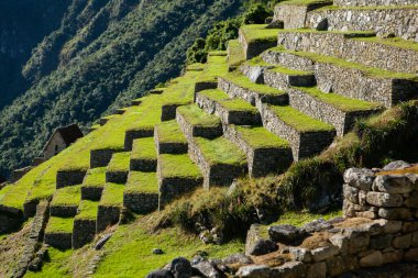 Peru 'daki World Machu Picchu mucizesi. İnka kutsal şehir kalıntılarıyla And Dağları 'nın güzel manzarası. 