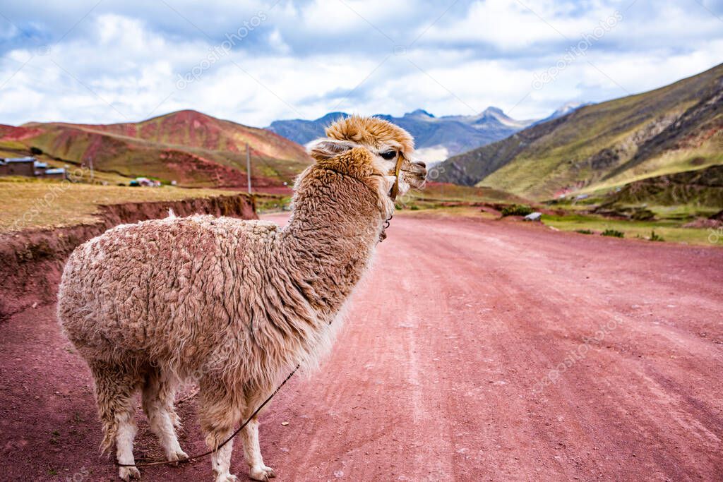 The Andes, Andes Mountains or Andean are the longest continental mountain range in the world. Beautiful mountain landscape in Peru