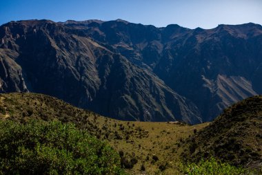 Peru 'daki Colca Kanyonu manzarası. O, dünyadaki en derin kanyonlardan biridir. Latin Amerika 'nın güzel doğası.