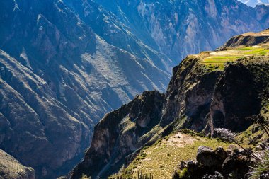 Peru 'daki Colca Kanyonu manzarası. O, dünyadaki en derin kanyonlardan biridir. Latin Amerika 'nın güzel doğası.