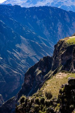 Peru 'daki Colca Kanyonu manzarası. O, dünyadaki en derin kanyonlardan biridir. Latin Amerika 'nın güzel doğası.