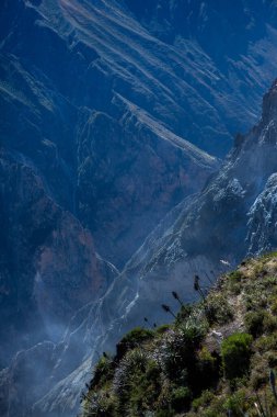 Peru 'daki Colca Kanyonu manzarası. O, dünyadaki en derin kanyonlardan biridir. Latin Amerika 'nın güzel doğası.