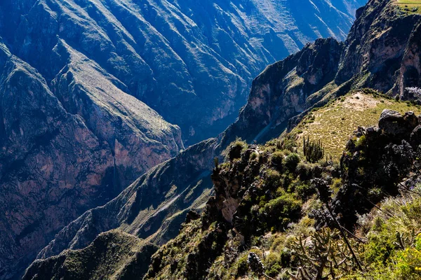 Vista Del Cañón Del Colca Perú Uno Los Cañones Más —  Fotos de Stock