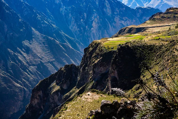 Widok Kanion Colca Peru Jest Jeden Najgłębszych Kanionów Świecie Piękna — Zdjęcie stockowe