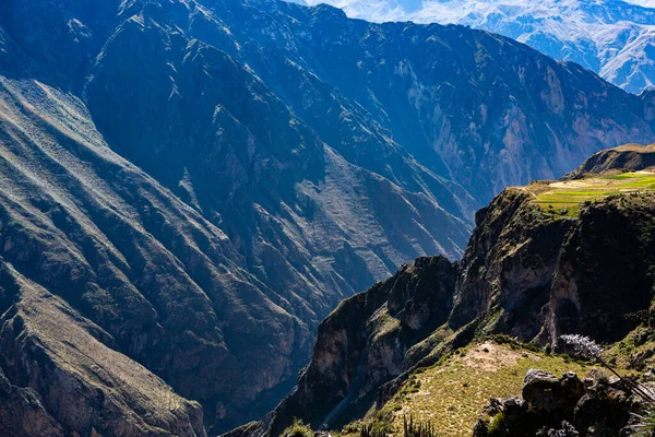 Peru Daki Colca Kanyonu Manzarası Dünyadaki Derin Kanyonlardan Biridir Latin — Stok fotoğraf