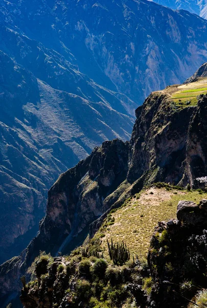 Peru Daki Colca Kanyonu Manzarası Dünyadaki Derin Kanyonlardan Biridir Latin — Stok fotoğraf