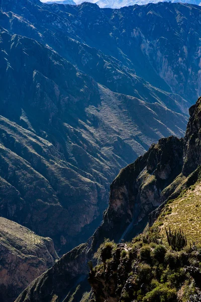 Pohled Kaňon Colca Peru Jeden Nejhlubších Kaňonů Světě Krásná Příroda — Stock fotografie