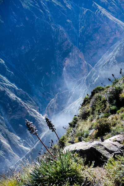 Peru 'daki Colca Kanyonu manzarası. O, dünyadaki en derin kanyonlardan biridir. Latin Amerika 'nın güzel doğası.