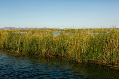 Peru, Titicaca Gölü 'ndeki yüzen köy Uros. Titicaca Gölü, Güney Amerika 'daki en büyük göl ve dünyanın en yüksek seyir edilebilir gölüdür..