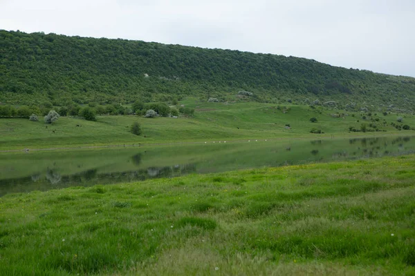 Село Строешть Живописный Сельский Город Республике Молдова Расположенный Берегу Днестра — стоковое фото