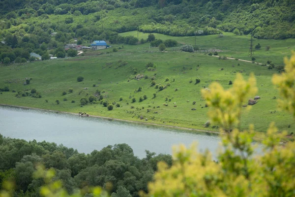 Село Строешть Живописный Сельский Город Республике Молдова Расположенный Берегу Днестра — стоковое фото