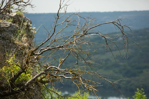 Fotografie Mit Wunderschöner Natur Aus Moldawien Sommer Landschaft Europa — Stockfoto