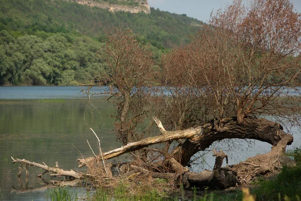 Yazın Moldova Dan Güzel Doğaya Sahip Fotoğrafçılık Avrupa Manzara — Stok fotoğraf