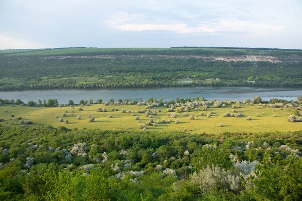Photography Beautiful Nature Moldova Summer Landscape Europe — Stock Photo, Image