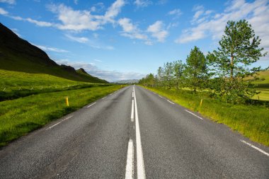 Yazın İzlanda 'da çok pitoresk boş bir yol. Asfalt yolu özgürlük ve seyahatin sembolü..