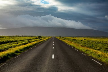 Very beautiful landscape in iceland in summer. Innocent nature on a volcanic island