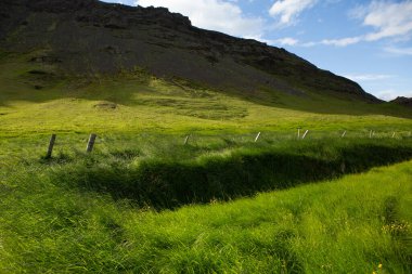 Yazın İzlanda 'da çok güzel bir manzara. Volkanik bir adada masum doğa
