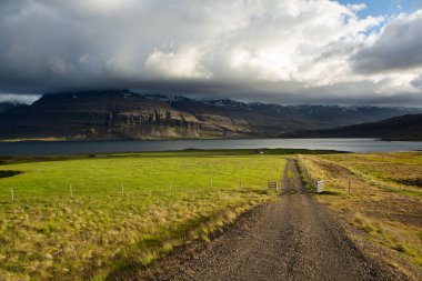 Yazın İzlanda 'da çok güzel bir manzara. Volkanik bir adada masum doğa