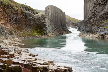 Yazın İzlanda 'da çok güzel bir manzara. Volkanik bir adada masum doğa