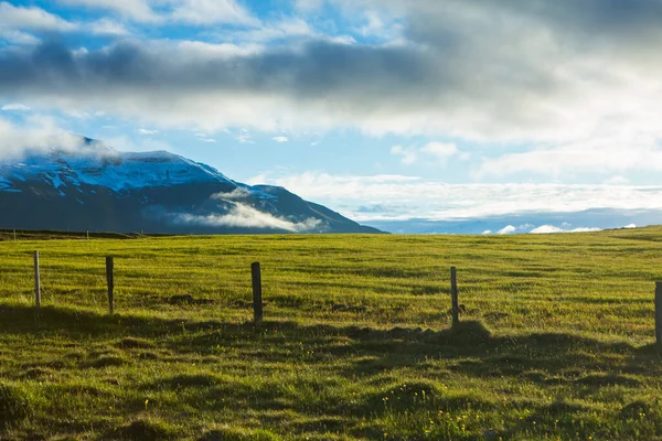 Bardzo Piękny Krajobraz Islandzie Lecie Niewinna Przyroda Wulkanicznej Wyspie — Zdjęcie stockowe