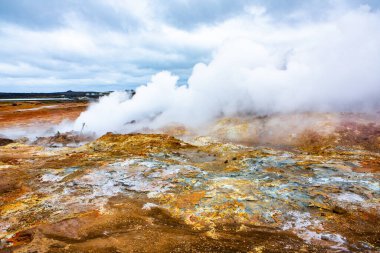 Yaz boyunca İzlanda 'da yeşil doğayla kaplı resim gibi bir manzara. Çok sessiz ve masum bir görüntü..