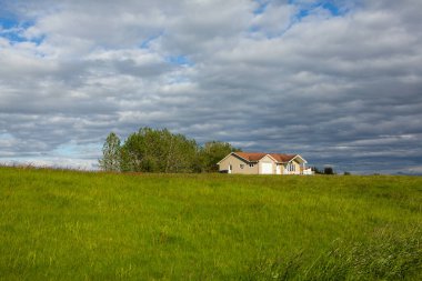 Yaz boyunca İzlanda 'da yeşil doğayla kaplı resim gibi bir manzara. Çok sessiz ve masum bir görüntü..
