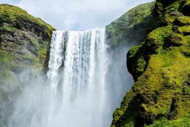 Yaz boyunca İzlanda 'da yeşil doğayla kaplı resim gibi bir manzara. Çok sessiz ve masum bir görüntü..