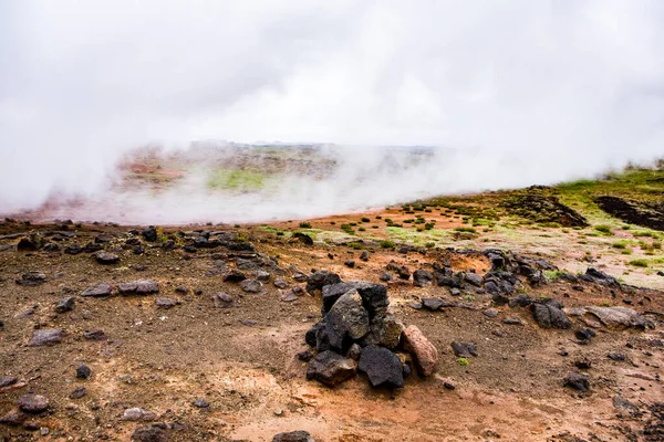 Picturesque landscape with green nature in Iceland during summer. Image with a very quiet and innocent nature.