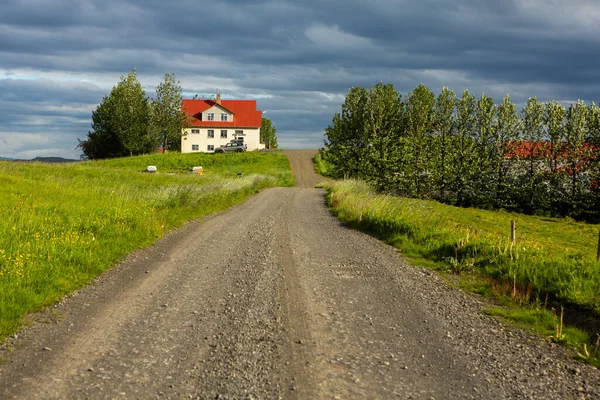 Picturesque Landscape Green Nature Iceland Summer Image Very Quiet Innocent — Stock Photo, Image