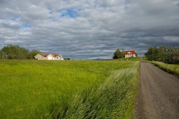 Picturesque Landscape Green Nature Iceland Summer Image Very Quiet Innocent — Photo