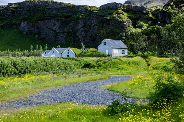 Picturesque Landscape Green Nature Iceland Summer Image Very Quiet Innocent — Foto de Stock