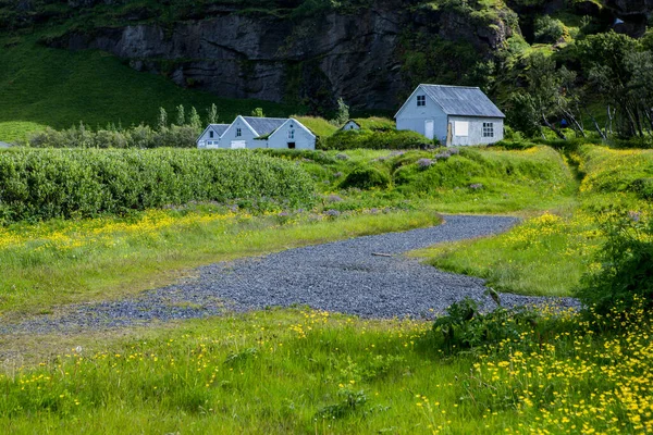 Picturesque Landscape Green Nature Iceland Summer Image Very Quiet Innocent — ストック写真