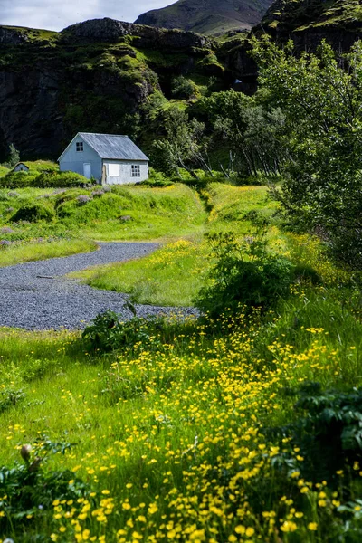 Malebná Krajina Zelenou Přírodou Islandu Létě Obrázek Velmi Tichou Nevinnou — Stock fotografie