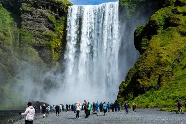 Живописный Пейзаж Зеленой Природой Исландии Летом Изображение Тихим Невинным Характером — стоковое фото
