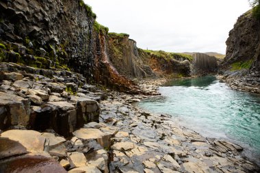 Yaz boyunca İzlanda 'da yeşil doğayla kaplı resim gibi bir manzara. Çok sessiz ve masum bir görüntü..