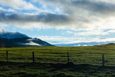 Yaz boyunca İzlanda 'da yeşil doğayla kaplı resim gibi bir manzara. Çok sessiz ve masum bir görüntü..