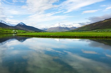 Picturesque landscape with green nature in Iceland during summer. Image with a very quiet and innocent nature.