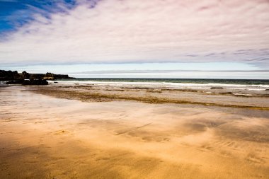Yaz boyunca İzlanda 'da yeşil doğayla kaplı resim gibi bir manzara. Çok sessiz ve masum bir görüntü..
