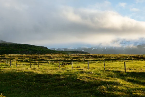Picturesque Landscape Green Nature Iceland Summer Image Very Quiet Innocent — Fotografia de Stock