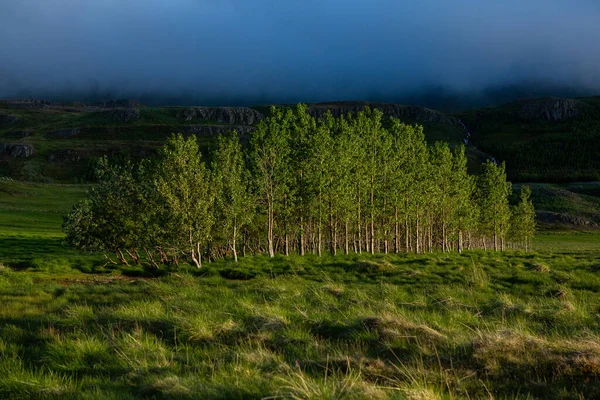 Schilderachtig Landschap Met Groene Natuur Ijsland Zomer Beeld Met Een — Stockfoto