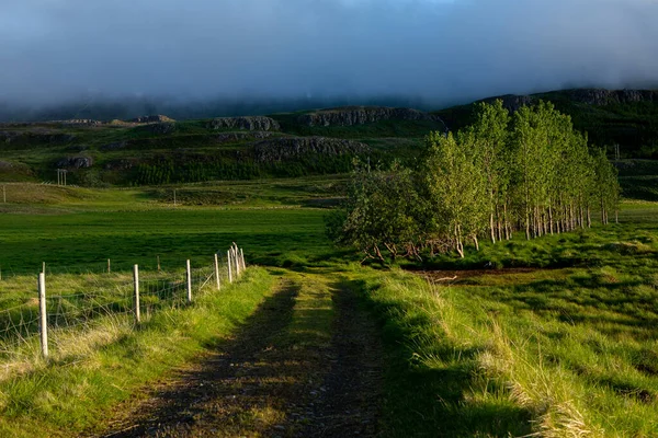 Живописный Пейзаж Зеленой Природой Исландии Летом Изображение Тихим Невинным Характером — стоковое фото