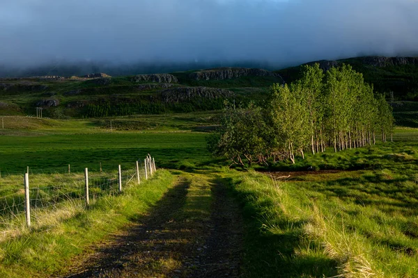 Pintoresco Paisaje Con Naturaleza Verde Islandia Durante Verano Imagen Con —  Fotos de Stock