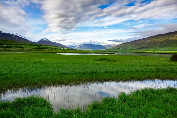 Pintoresco Paisaje Con Naturaleza Verde Islandia Durante Verano Imagen Con — Foto de Stock