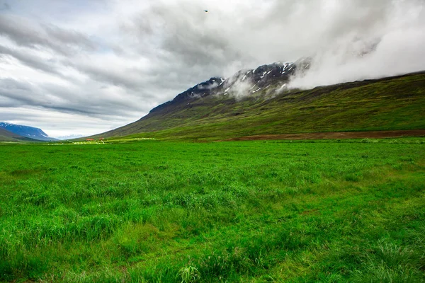 Γραφικό Τοπίο Καταπράσινη Φύση Στην Ισλανδία Κατά Διάρκεια Του Καλοκαιριού — Φωτογραφία Αρχείου