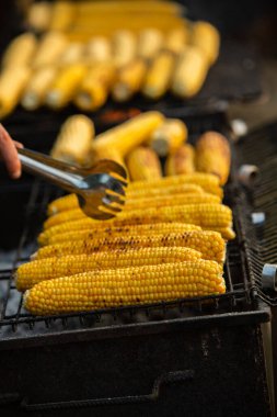Taze kavrulmuş ya da ızgara corncobs. Izgarada Mısır sokakta Satılık.