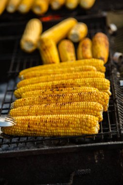 Taze kavrulmuş ya da ızgara corncobs. Izgarada Mısır sokakta Satılık.