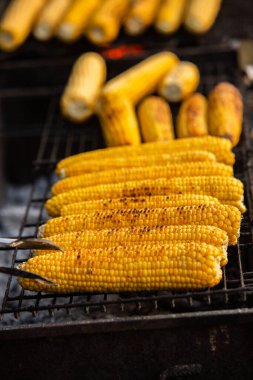 Taze kavrulmuş ya da ızgara corncobs. Izgarada Mısır sokakta Satılık.